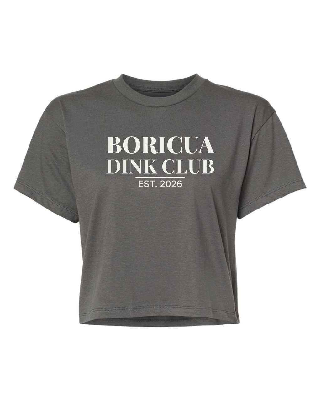 Boricua Dink Club™ — Court Crop