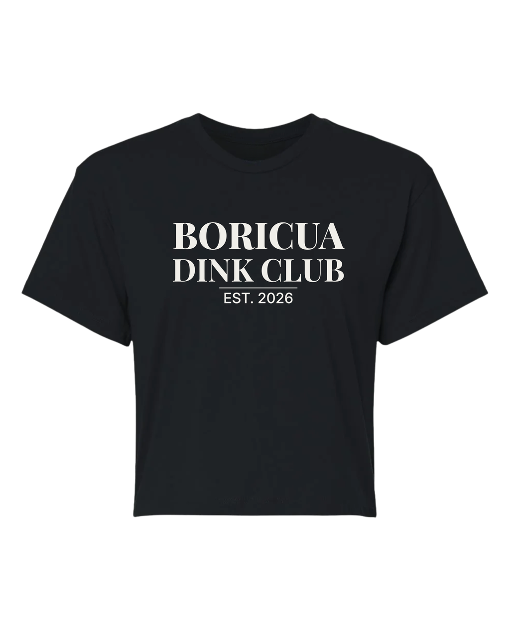 Boricua Dink Club™ — Court Crop